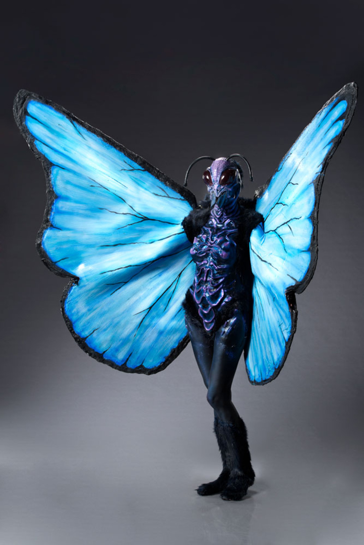 Miranda as a butterfly on Face Off